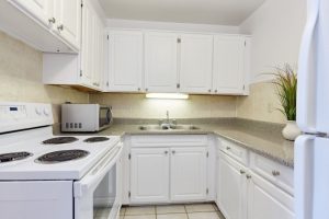 Furnished kitchen Facility