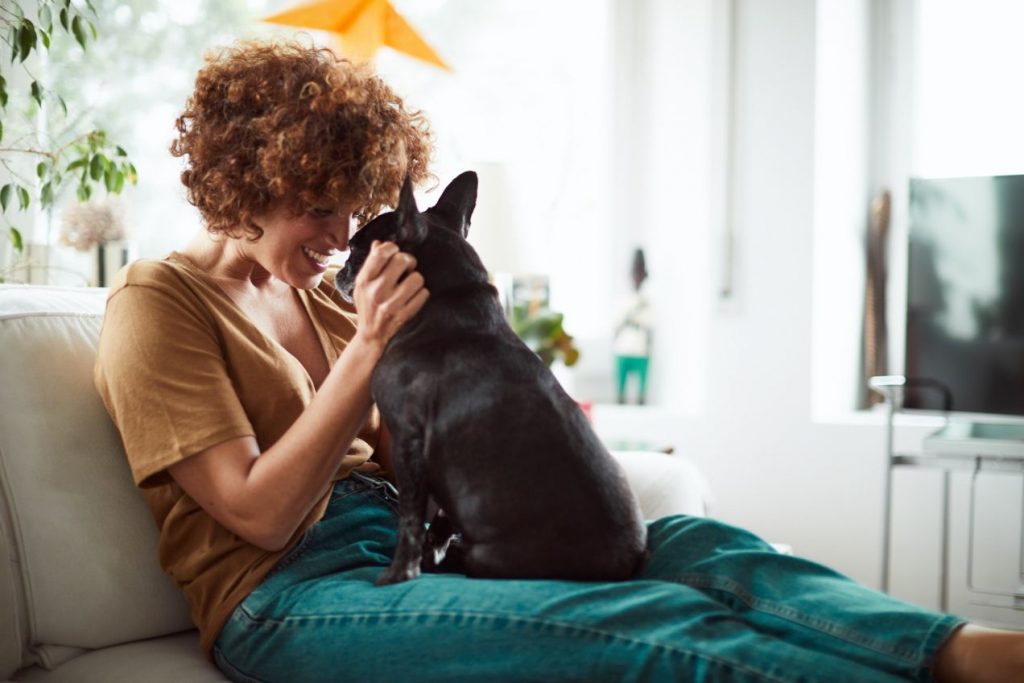 dog-friendly-apartment-rentals Pet friendly apartment rentals Toronto